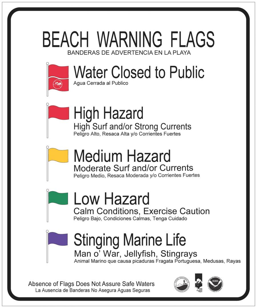 beach-flags