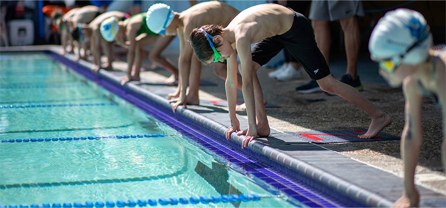 swim-meet-starting